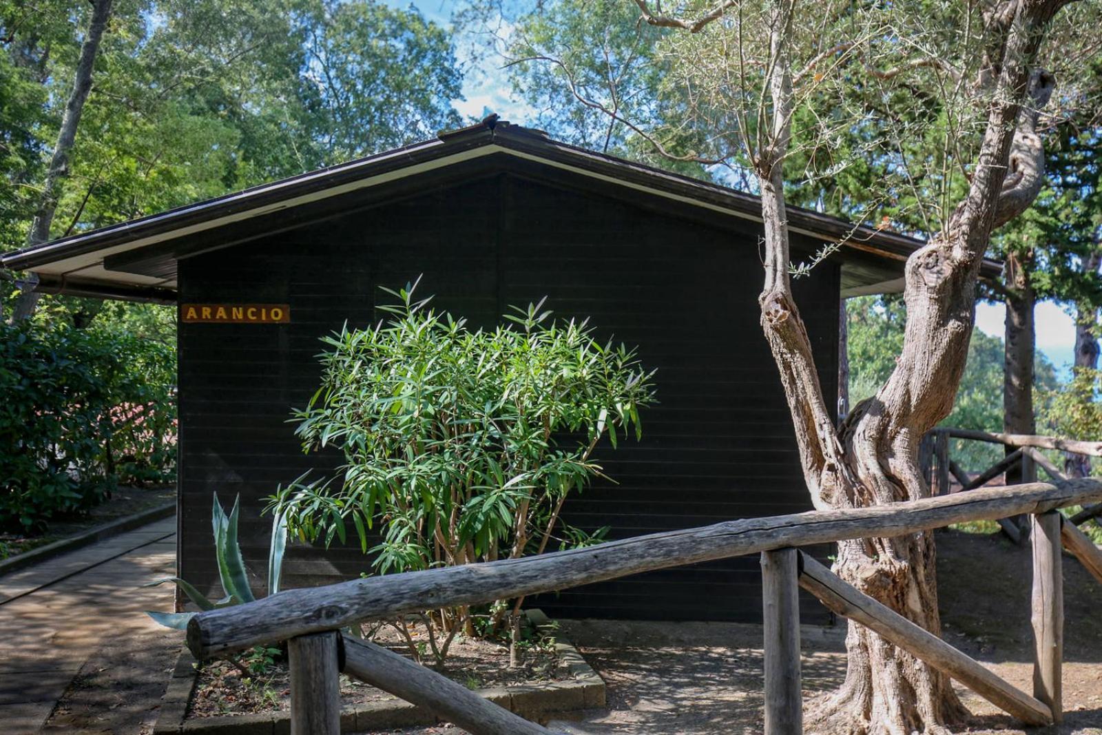 Village Camping Santa Fortunata - Campogaio سورينتو المظهر الخارجي الصورة